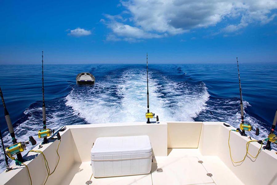 Fishing with RC Bait Boat on the Sea - Bait Boat Manufacturers, RC Fishing  Boat Supplier